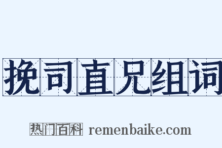 挽司直兄组词是什么意思的图片
